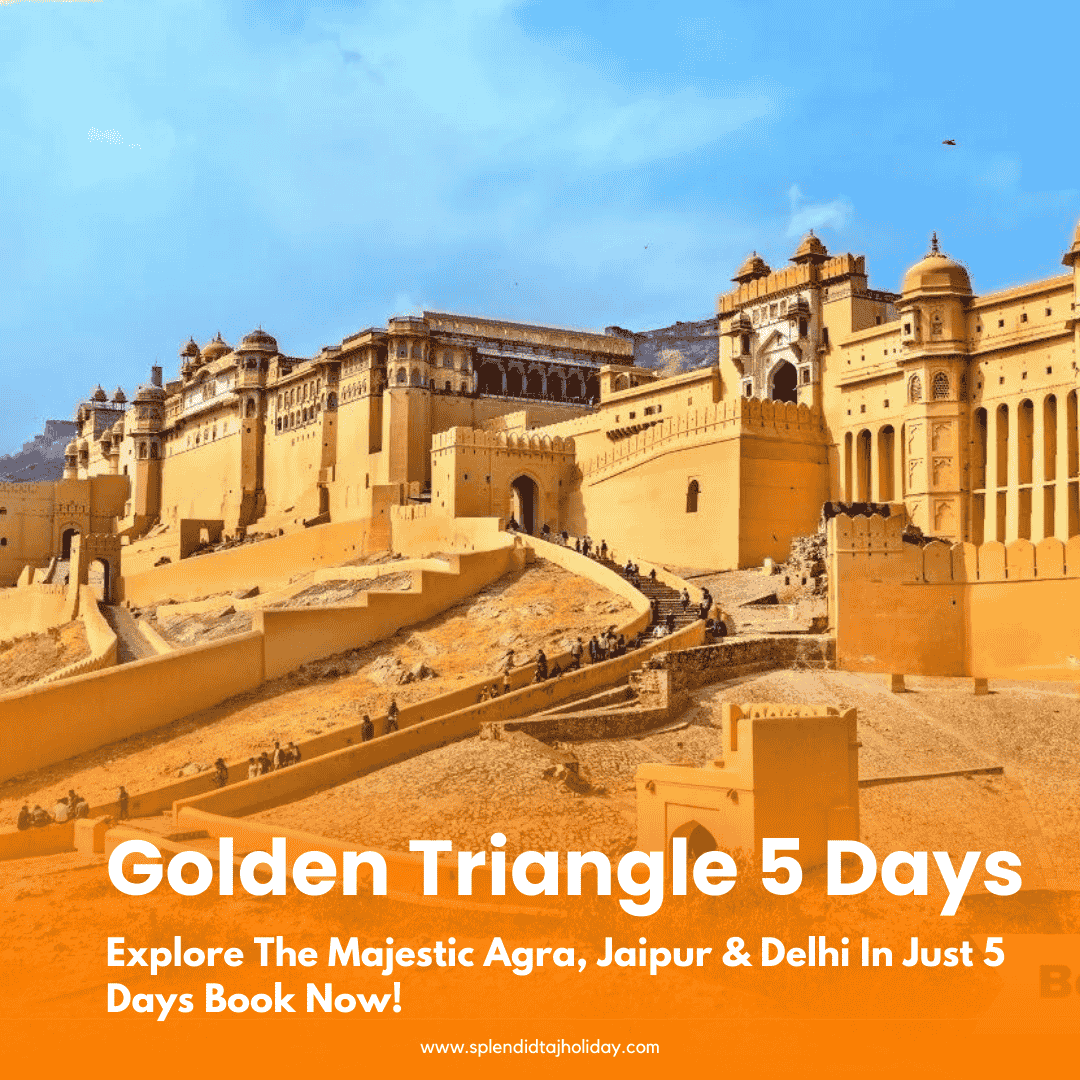 Golden Triangle Tour