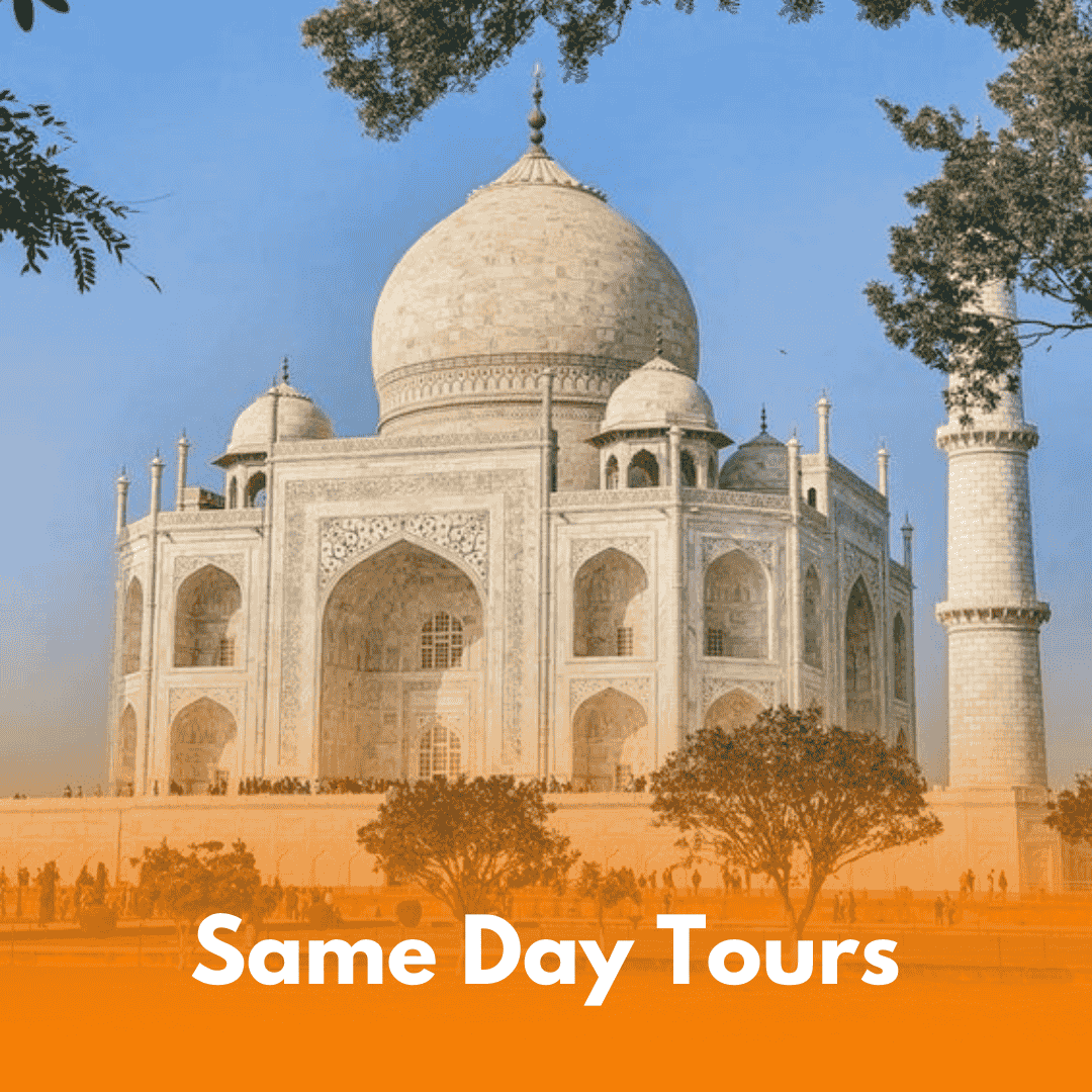 same day tours