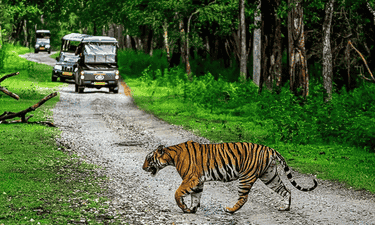 Coorg & Kabini Wild Life