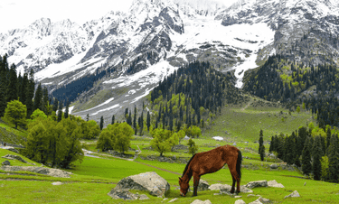Kashmir 6 Days 5 Nights