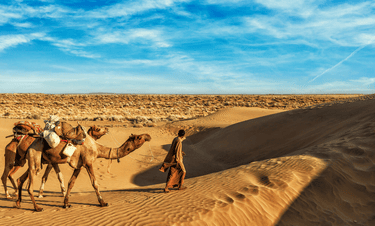 rajasthan desert